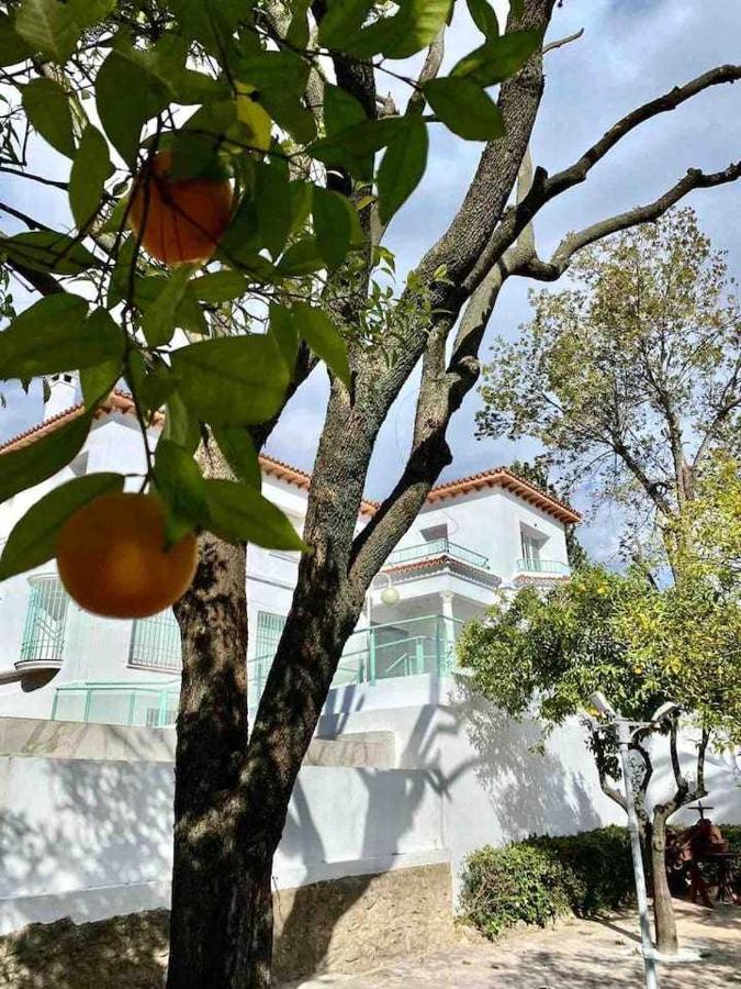 Apartament Nuevo Los Almendros 202 Complejo Turistico Kordoba Zewnętrze zdjęcie