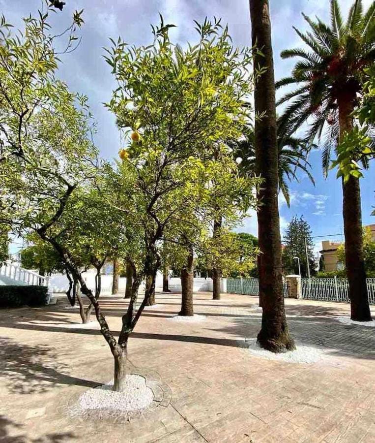 Apartament Nuevo Los Almendros 202 Complejo Turistico Kordoba Zewnętrze zdjęcie